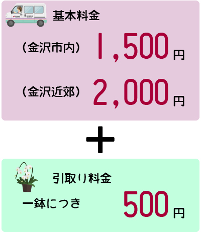 胡蝶蘭（廃棄品）引取り・回収サービス - 株式会社正花園