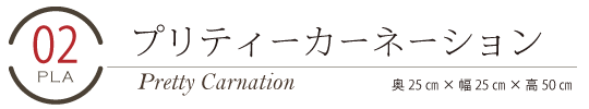 母の日プリティーカーネーション