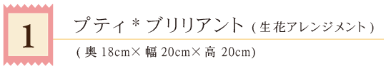 01プティブリリアント（アレンジ）タイトル