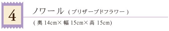 04ノワール（プリザーブド）タイトル