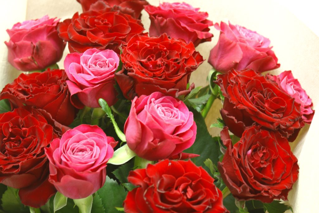バレンタインギフトにピンクと赤を混ぜ合わしたバラの花束の写真