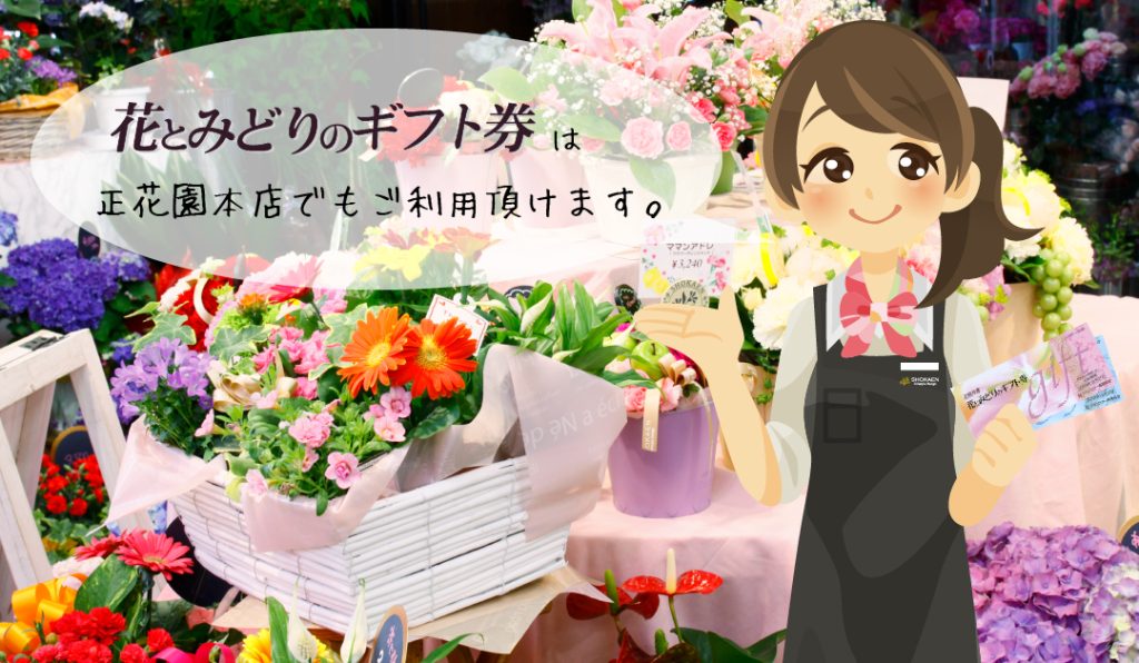 花と緑のギフト券取扱店 石川県金沢市の花屋 正花園